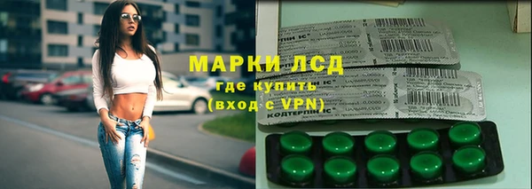 индика Абинск