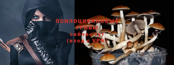 ГАЛЛЮЦИНОГЕННЫЕ ГРИБЫ Абаза