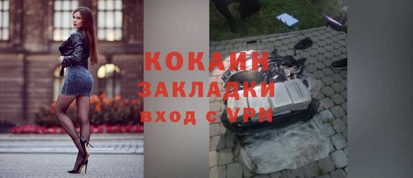 ГАЛЛЮЦИНОГЕННЫЕ ГРИБЫ Абаза