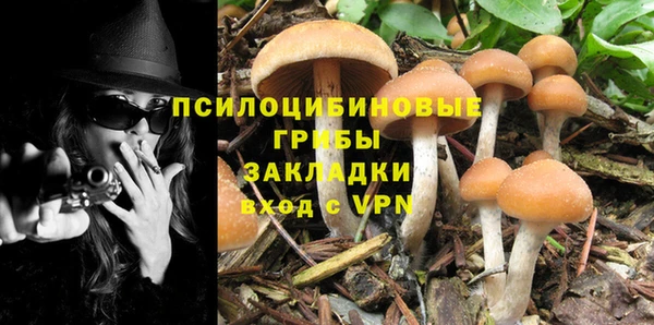 индика Абинск