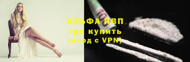 индика Абинск