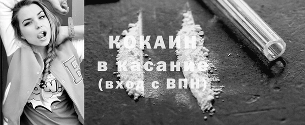 индика Абинск